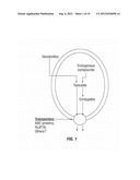 Protection Against and Treatment of Ionizing Radiation diagram and image