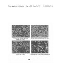 Protection Against and Treatment of Ionizing Radiation diagram and image