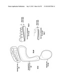 ATHLETIC POSITIONING APPARATUS INCLUDING A HEEL PLATFORM AND APPLICATIONS     THEREOF diagram and image