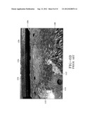 HEAVY-DUTY VEHICLE BRAKE ASSEMBLY WITH SEALING INTERFACE diagram and image