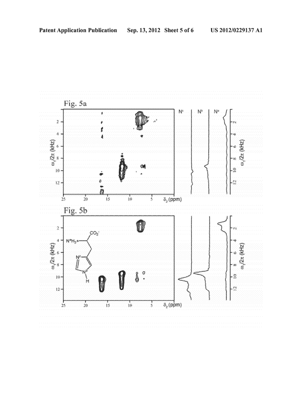 Method for NMR spectroscopy - diagram, schematic, and image 06