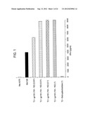 GP100-SPECIFIC T CELL RECEPTORS AND RELATED MATERIALS AND METHODS OF USE diagram and image