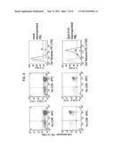 GP100-SPECIFIC T CELL RECEPTORS AND RELATED MATERIALS AND METHODS OF USE diagram and image