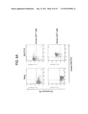 GP100-SPECIFIC T CELL RECEPTORS AND RELATED MATERIALS AND METHODS OF USE diagram and image