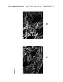 FLOWABLE COLLAGEN-BASED HEMOSTAT AND METHODS OF USE diagram and image