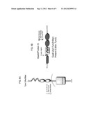 AXL TYROSINE KINASE INHIBITORS AND METHODS OF MAKING AND USING THE SAME diagram and image