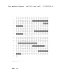 MONOCLONAL ANTIBODIES AND SINGLE CHAIN ANTIBODY FRAGMENTS AGAINST     CELL-SURFACE PROSTATE SPECIFIC MEMBRANE ANTIGEN AS DIAGNOSTIC AND     THERAPEUTIC TOOLS FOR PROSTATE CANCER diagram and image