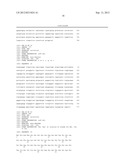 MONOCLONAL ANTIBODIES AND SINGLE CHAIN ANTIBODY FRAGMENTS AGAINST     CELL-SURFACE PROSTATE SPECIFIC MEMBRANE ANTIGEN AS DIAGNOSTIC AND     THERAPEUTIC TOOLS FOR PROSTATE CANCER diagram and image