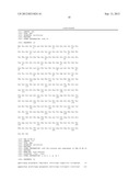 MONOCLONAL ANTIBODIES AND SINGLE CHAIN ANTIBODY FRAGMENTS AGAINST     CELL-SURFACE PROSTATE SPECIFIC MEMBRANE ANTIGEN AS DIAGNOSTIC AND     THERAPEUTIC TOOLS FOR PROSTATE CANCER diagram and image