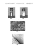 THERMO-RESPONSIVE HYDROGEL COMPOSITIONS diagram and image