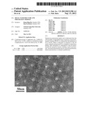 METAL NANOSTRUCTURE AND PREPARATION THEREOF diagram and image