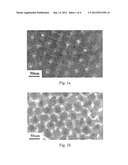 METAL NANOSTRUCTURE AND PREPARATION THEREOF diagram and image