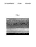 POLYMER ELECTROLYTE MEMBRANE FOR A FUEL CELL, AND METHOD FOR PREPARING     SAME diagram and image