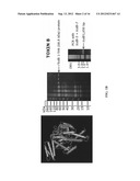 Aptamers for C. Difficile Diagnostics diagram and image