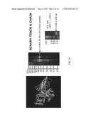 Aptamers for C. Difficile Diagnostics diagram and image