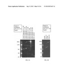 Aptamers for C. Difficile Diagnostics diagram and image