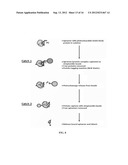 Aptamers for C. Difficile Diagnostics diagram and image