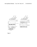 METHOD, KIT OR DIAGNOSTIC FOR THE DETECTION OF REAGENTS WHICH INDUCE     ALTERED CONTRACTILITY diagram and image