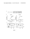 METHOD, KIT OR DIAGNOSTIC FOR THE DETECTION OF REAGENTS WHICH INDUCE     ALTERED CONTRACTILITY diagram and image