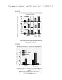 Method Of Differentiation From Stem Cells To Hepatocytes diagram and image