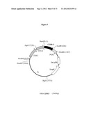 PRODUCTION OF NON-YEAST STEROLS BY YEAST diagram and image