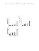 HIGH-MOLECULAR-WEIGHT RECOMBINANT SILK OR SILK-LIKE PROTEIN AND MICRO- OR     NANO-SIZED SPIDER SILK OR SILK-LIKE FIBER PRODUCED THEREFROM diagram and image