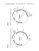 Gene Expression Technique diagram and image