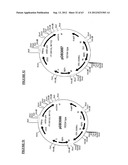 Gene Expression Technique diagram and image