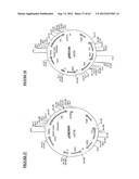 Gene Expression Technique diagram and image