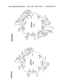 Gene Expression Technique diagram and image