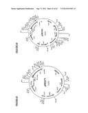 Gene Expression Technique diagram and image