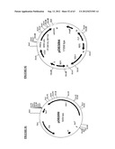 Gene Expression Technique diagram and image