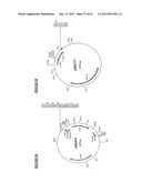 Gene Expression Technique diagram and image