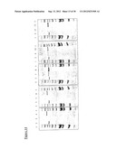 Gene Expression Technique diagram and image