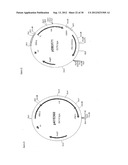 Gene Expression Technique diagram and image