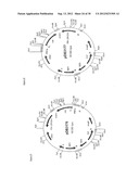 Gene Expression Technique diagram and image