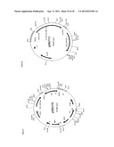 Gene Expression Technique diagram and image