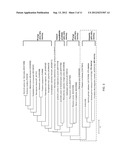 NOVEL CELLULASES WITH HIGH ACTIVITIES diagram and image