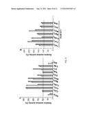 NOVEL CELLULASES WITH HIGH ACTIVITIES diagram and image