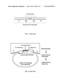 NOVEL MULTIPLEX BARCODED PAIRED-END DITAG (mbPED) SEQUENCING APPROACH AND     ITS APPLICATION IN FUSION GENE IDENTIFICATION diagram and image