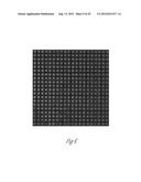 MINIATURIZED ELECTROPORATION-READY MICROWELL ARAY FOR HIGH-THROUGHPUT     GENOMIC SCREENING diagram and image