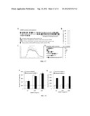 Molecular Surface Design of Tyrosine-Derived Polycarbonates for Attachment     of Biomolecules diagram and image