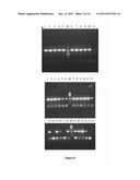 NOVEL FUSION PROTEINS AND METHOD OF EXPRESSION THEREOF diagram and image