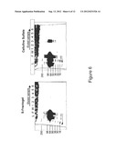 Method for the Purification of Alphavirus Replicon Particles diagram and image