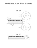 FIBER, FIBER AGGREGATE AND ADHESIVE HAVING THE SAME diagram and image