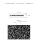 FIBER, FIBER AGGREGATE AND ADHESIVE HAVING THE SAME diagram and image