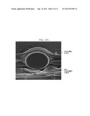 FIBER, FIBER AGGREGATE AND ADHESIVE HAVING THE SAME diagram and image