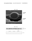 FIBER, FIBER AGGREGATE AND ADHESIVE HAVING THE SAME diagram and image