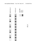 Cell Search Procedure for Heterogeneous Networks diagram and image