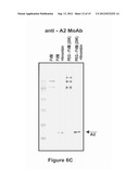 FACTOR VIII POLYMER CONJUGATES diagram and image